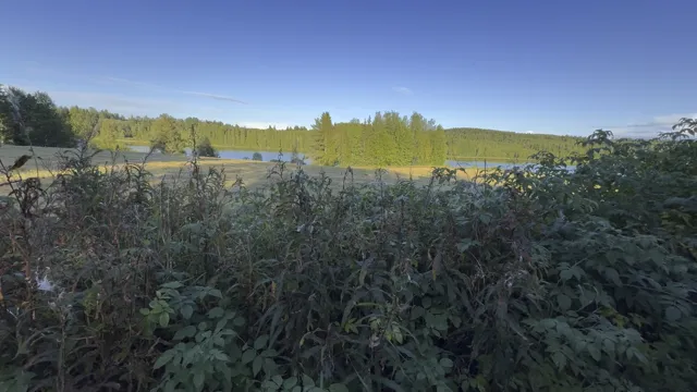 Järvinäkymä navetan takaa